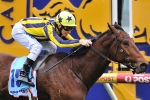 Bel Sprinter to Return this Weekend