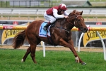 Sepoy Expected To Make Flawless Moonee Valley Debut