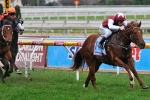 Caulfield Sprint Is Sepoy’s For The Taking