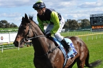 Golden Rose Hopeful Delago’s Lad Tragically Dies During Trackwork Golden Rose Hopeful Delago’s Lad Tragically Dies During Trackwork