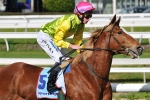 Rebel Soldier Begins Caulfield Cup Quest Rebel Soldier Begins Caulfield Cup Quest