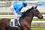 Fairytale Melbourne Cup Story Ends Up Black & Bent