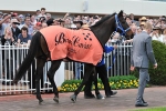 Black Caviar Wins Title On Split Points Decision Black Caviar Wins Title On Split Points Decision