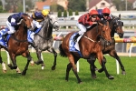 Underwood Tamed On Road To Melbourne Cup Underwood Tamed On Road To Melbourne Cup