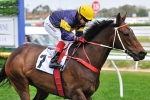 Niwot Weighted To Win Melbourne Cup