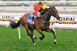 Sadler Seeks Out Nose Band For Sister Madly In Salinger Sadler Seeks Out Nose Band For Sister Madly In Salinger