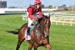 Missile to sprint without Caviar Missile to sprint without Caviar