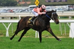 Black Caviar Kept Safe After Barrier Stall Switch