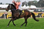 Lazy Days For Unbeatable Black Caviar