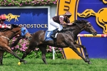 Descarado Scratched From 2011 Cox Plate