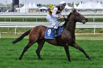 Sahara Sun – Bendigo Cup shortener Sahara Sun – Bendigo Cup shortener