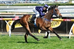 Atlantic Jewel Doubtful For Cox Plate Run Despite Thousand Guineas Win