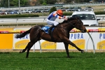 Jimando Races Away To Claim Debut Career Win Jimando Races Away To Claim Debut Career Win