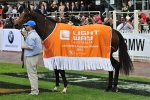 Galah, a star not a mug in Australia Stakes at Caulfield