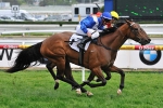 Gai time with More Joyous as mare wins Tristarc Stakes Gai time with More Joyous as mare wins Tristarc Stakes