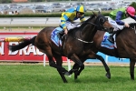 Sabrage wins Norman Robinson and now on to the Victoria Derby Sabrage wins Norman Robinson and now on to the Victoria Derby