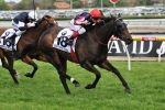 2011 Caulfield Cup Odds Results, Trifecta, Quinella Payouts