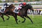 2011 Caulfield Cup Odds Results, Trifecta, Quinella Payouts 2011 Caulfield Cup Odds Results, Trifecta, Quinella Payouts