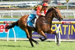 Messara to prepare Soft Sand for Oakleigh Plate