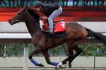 Cirrus Des Aigles on target for Hong Kong Cup