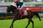 Begg’s Best Stable Hopes Compete For Tramway Handicap Title Begg’s Best Stable Hopes Compete For Tramway Handicap Title
