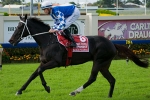 Freedman Hoping To Restore Piranha’s Bite