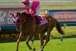 Our Lukas Limping Into Third Ipswich Cup Our Lukas Limping Into Third Ipswich Cup
