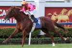 Victory Stakes to develop into great tactical race