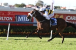 Brambles And Zabeelionaire To Clash In Queensland Derby