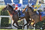 Southern Spring Hopes to Clash at Doomben
