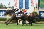 New recruit Deer Valley confident for Golden Pendant