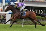 Berry Backs Driefontein for Magic Millions