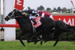 Sincero’s Group 1 Dilemma, Epsom Or Underwood? Sincero’s Group 1 Dilemma, Epsom Or Underwood?