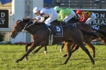 Pattillo Envisages Queensland Cup Success Pattillo Envisages Queensland Cup Success