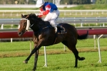 Have Another Glance At Stradbroke Nominations Have Another Glance At Stradbroke Nominations