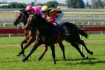 Plenty Expect Temple To Boom In Brisbane Plenty Expect Temple To Boom In Brisbane