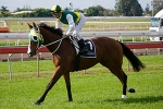 Youthful Jack Storms Home To Win Ramornie Handicap Youthful Jack Storms Home To Win Ramornie Handicap