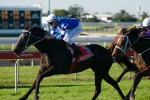 Black Piranha Sent To Auction After Partnership Dissolves Black Piranha Sent To Auction After Partnership Dissolves