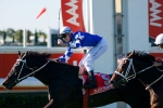 Black Piranha Circling Closer To Top Form Black Piranha Circling Closer To Top Form