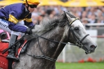 Glass Half Full – Harmonium in for his Cox Plate fill Glass Half Full – Harmonium in for his Cox Plate fill