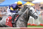 Mackinnon is Melbourne Cup test for Harmonium