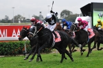 Sincero Earns Bigger Trip After Stradbroke Sincero Earns Bigger Trip After Stradbroke