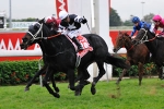 Disappointment Won’t End Sincero’s Cox Plate Bid