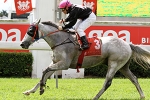 Track specialist Mr Light Blue returns to Ipswich