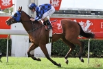 Buffering Named Queensland Horse Of The Year