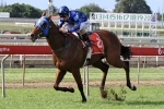 Buffering to Shine for Heathcote this Spring Buffering to Shine for Heathcote this Spring
