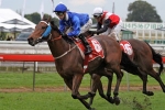 Celtic Dancer Gains Stradbroke Start Celtic Dancer Gains Stradbroke Start