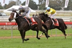 Lights Of Heaven a genuine Melbourne Cup chance Lights Of Heaven a genuine Melbourne Cup chance