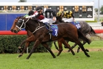 Red Tracer wins again on heavy track in Dane Ripper Stakes
