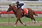 Missy Longstocking Silences Critics at Doomben